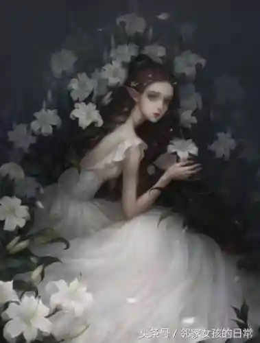 塔牌精灵女王搭配阵容(塔王之王推图最强阵容)插图1
