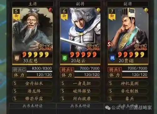 老虎应该如何搭配阵容装备(虎豹骑适合哪些阵容)插图6