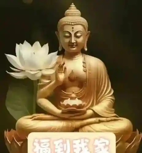 悟空72变最强阵容搭配(少年西游记最强阵容)插图63