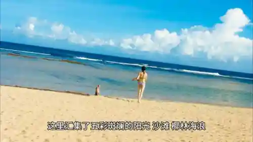 梦幻西游最佳海滩阵容搭配(梦幻西游最强伙伴阵容)插图