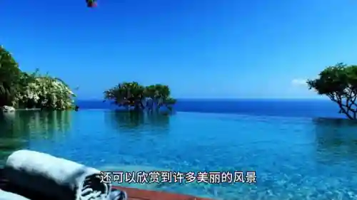 梦幻西游最佳海滩阵容搭配(梦幻西游最强伙伴阵容)插图1