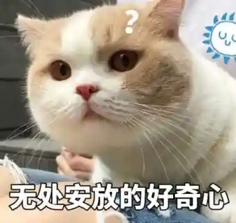 王牌竞速组队阵容搭配图(王牌探险家阵容推荐)插图2