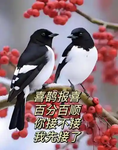悟空72变最强阵容搭配(少年西游记最强阵容)插图51