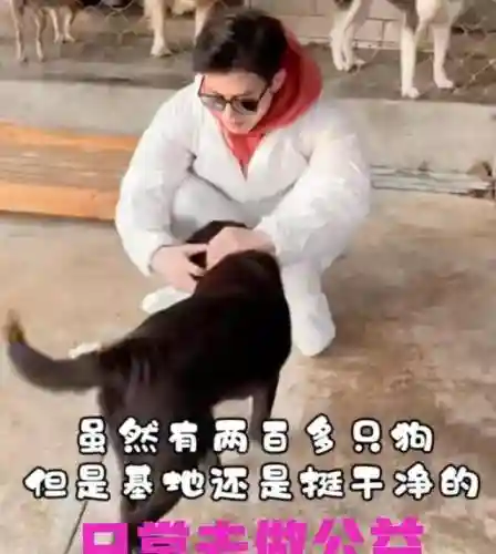 花亦山哥哥搭配阵容(千姬阵容搭配pve)插图2