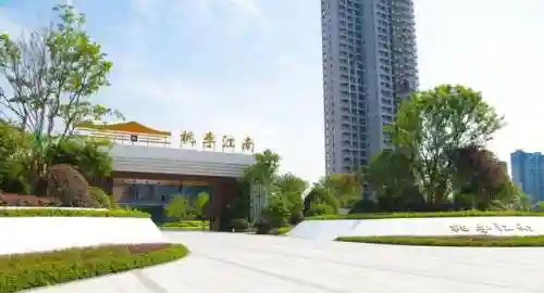 锦鲤阵容搭配攻略图大全(七条锦鲤搭配图)插图5