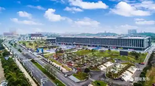 锦鲤阵容搭配攻略图大全(七条锦鲤搭配图)插图3
