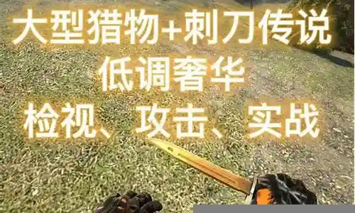 刺刀传说搭配推荐阵容