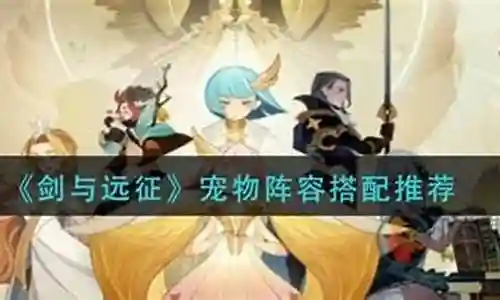 魔女宠物搭配阵容推荐