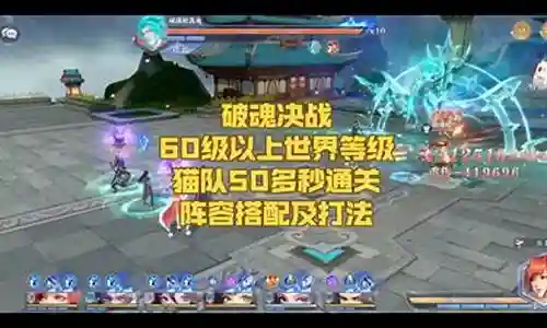 猫队主阵容搭配及打法
