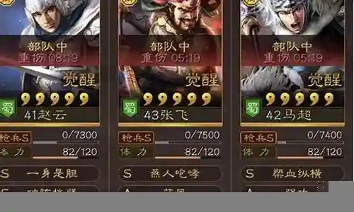 赵云突击战法阵容搭配