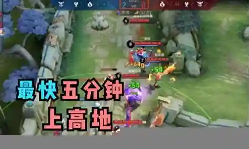 什么阵容搭配大桥最好