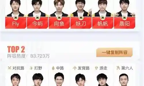 狼队阵容角色搭配