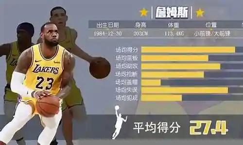 梦幻阵容篮球搭配推荐