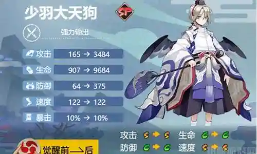 天狗应该搭配什么阵容