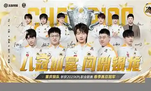 kpl凯阵容搭配