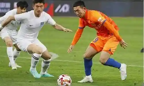 国安五卫阵容搭配插图