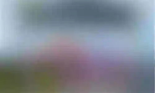 灵魂燃烧搭配什么阵容插图