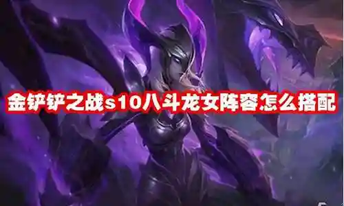 斗士龙女搭配什么阵容插图