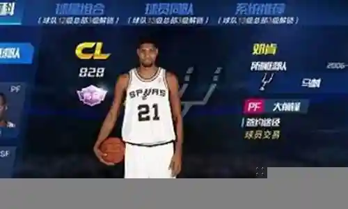 天堂篮球阵容搭配图表