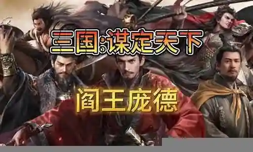 庞德新手阵容搭配推荐