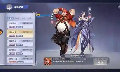老虎猫悬赏阵容搭配