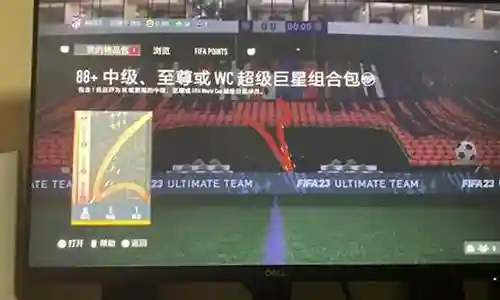 fafi23阵容搭配