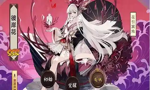 冥夜彼岸花搭配阵容