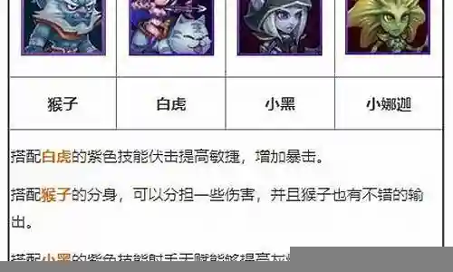 幻影刺客的阵容搭配图片