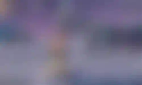 新区老虎战场悬赏阵容搭配