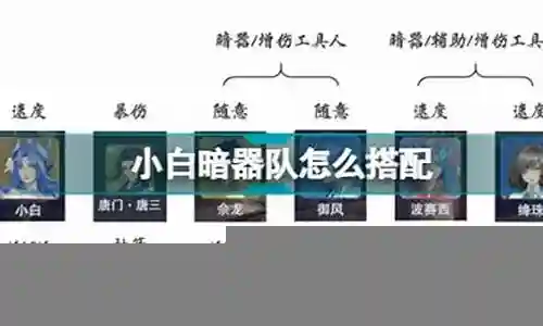 小白无声暗器队阵容搭配