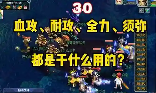 梦幻西游血攻宝宝必带技能插图