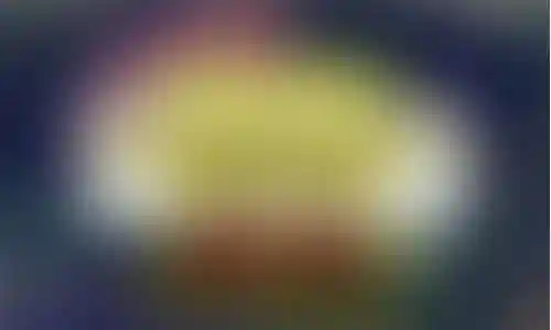 梦幻西游象形以后能出宝宝嘛