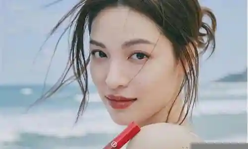 钟楚曦新剧阵容搭配