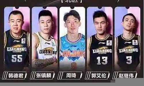 全明星各赛季阵容分配插图