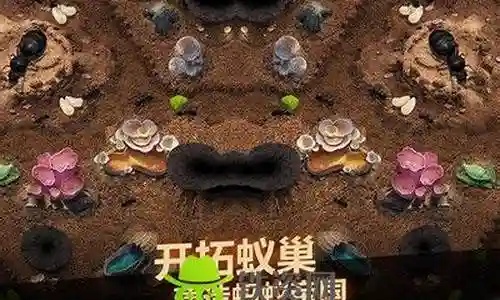 小小蚁国打土拨鼠阵容搭配