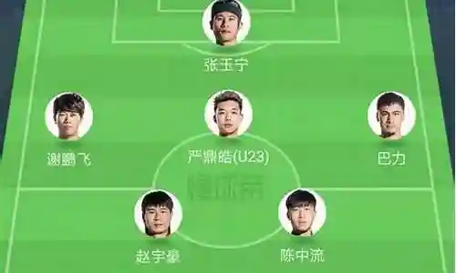 绿城队主力阵容名单