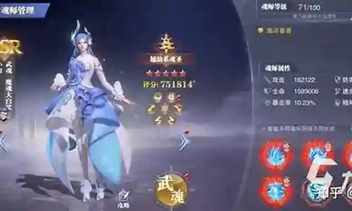小白全民对决阵容搭配推荐