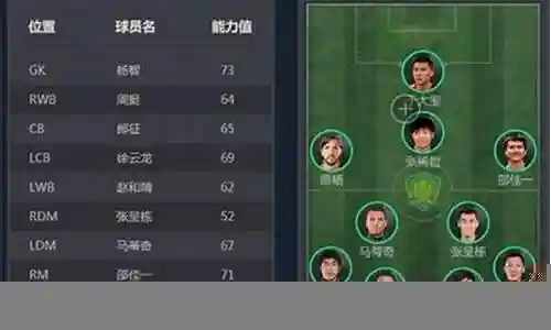 国安阵容简单分析图