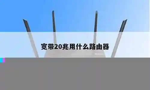 20兆组什么阵容