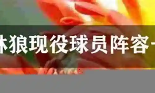 森林狼2009阵容