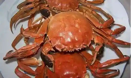 螃蟹搭配什么阵容好养