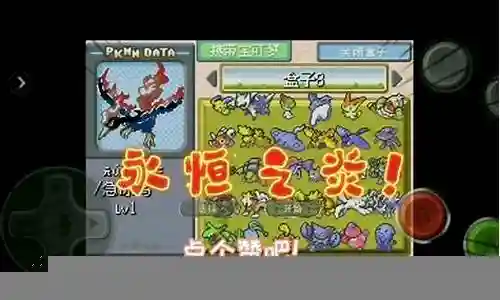 口袋永恒之炎金攻略