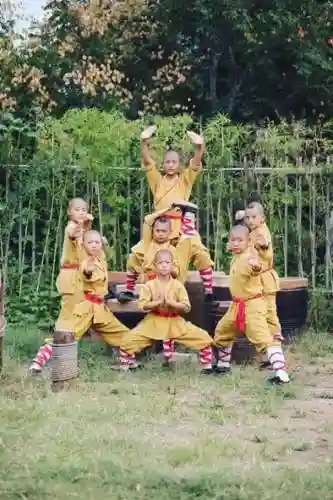 少林小子阵容插图