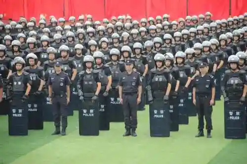 警察防暴阵容插图