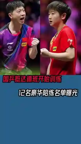 豪华陪练阵容插图1
