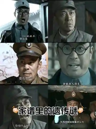 楚云飞最新阵容插图