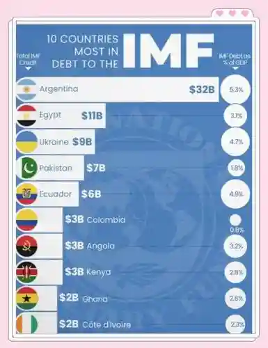 imf阵容插图