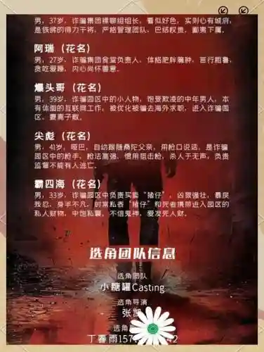 主创阵容搭配插图1