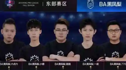 黑凤梨阵容插图