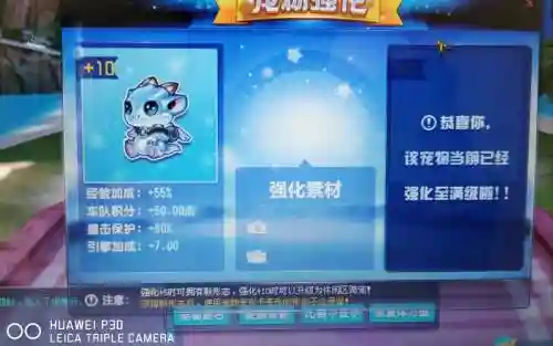 城邦守护兽宠物技能插图